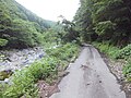 鶴沼川狭窄部蝉トンネル付近