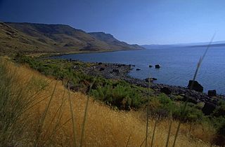 Lake Abert and the Abert Rim