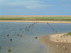 Remains of antitank defence at Salthouse