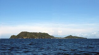 <span class="mw-page-title-main">Apo Island</span> Volcanic island in Visayas, Philippines