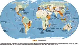 <span class="mw-page-title-main">Habitat destruction</span> Process by which a natural habitat becomes incapable of supporting its native species