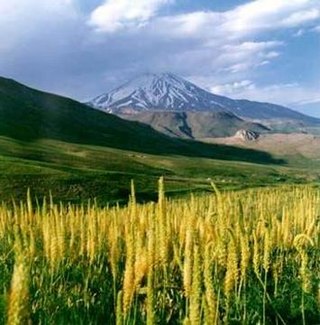 <span class="mw-page-title-main">Elburz Range forest steppe</span>