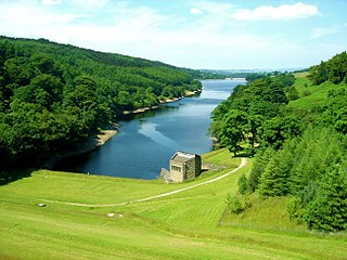 <span class="mw-page-title-main">Fernilee Reservoir</span> Reservoir in Derbyshire, England