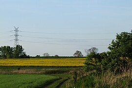 Fields in Upper Silesia