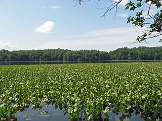 Leesylvania State Park State park in Prince William County, Virginia