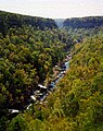 Little River Canyon, nahe Fort Payne