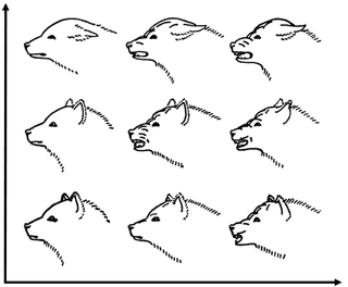 <span class="mw-page-title-main">Dog behavior</span> Internally coordinated responses of dogs to internal and external stimuli