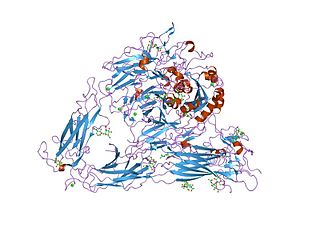 <span class="mw-page-title-main">Integrin</span> Instance of a defined set in Homo sapiens with Reactome ID (R-HSA-374573)