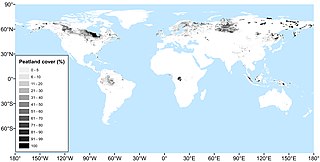 <span class="mw-page-title-main">Peatland restoration</span> Restoration of wetlands