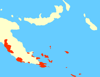 <span class="mw-page-title-main">Papuan Tip languages</span> Branch of the Western Oceanic languages