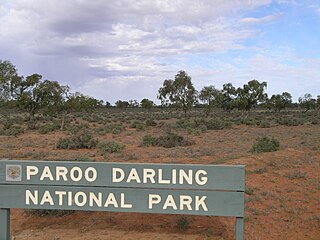 <span class="mw-page-title-main">Paroo-Darling National Park</span> Protected area in New South Wales, Australia