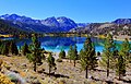 Carson Peak centered beyond June Lake