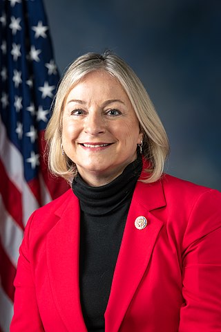 <span class="mw-page-title-main">Susan Wild</span> American politician and attorney (born 1957)