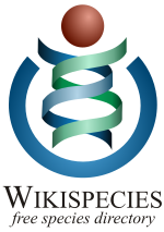 Logo Wikispecies