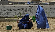 Thumbnail for Women in agriculture in Afghanistan