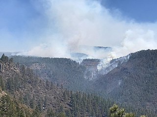 <span class="mw-page-title-main">Rattlesnake Fire (2018)</span> 2018 wildfire in Arizona, United States