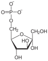 de: Struktur von alpha-D-Fructose-6-phosphat; en: Structure of alpha-D-fructose-6-phosphat