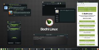 <span class="mw-page-title-main">Bodhi Linux</span> Linux distribution