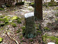 Ancienne borne frontière du Comte-Ban dans la forêt communale de Breitenau.