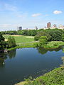 11. The Lake, Central Park