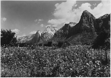 East side of Zion Canyon in 1929