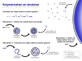 Version de Tachymètre