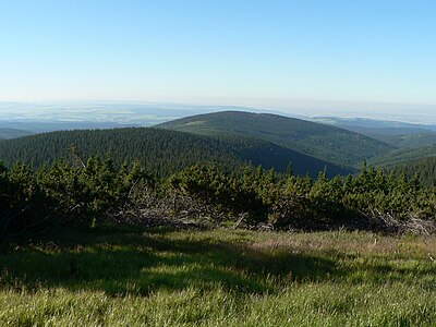 Mont Ostružná (1184 m).