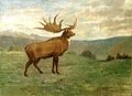 Ricostruzione di Charles R. Knight di Megaloceros