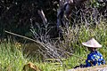 * Nomination: Fisherman waiting patiently for a catch in Kota Belud, Sabah --Cccefalon 21:17, 30 April 2013 (UTC) * * Review needed