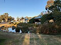 Visitors centre garden