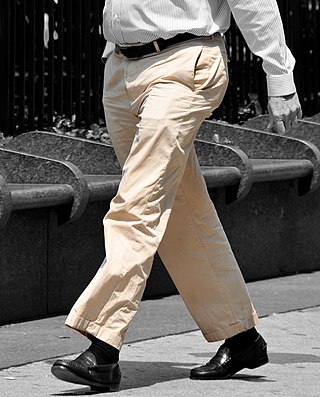 <span class="mw-page-title-main">Trousers</span> Clothing for the legs and lower body