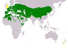 Mapa s rozšířením sýčka obecného