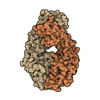 <span class="mw-page-title-main">Belimumab</span> Pharmaceutical drug