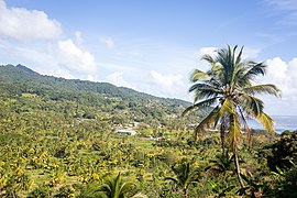 Castle Bruce Dominica (155620).jpg