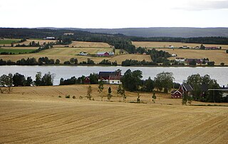 <span class="mw-page-title-main">Einavatnet</span> Lake in Innlandet, Norway