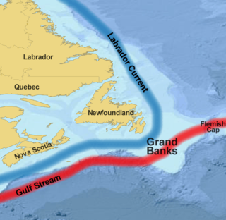 <span class="mw-page-title-main">Grand Banks of Newfoundland</span> Group of underwater plateaus south-east of Newfoundland, Canada