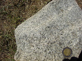 <span class="mw-page-title-main">Granodiorite</span> Type of coarse grained intrusive igneous rock