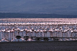 Great Rift Valley, Kenya Part of an intra-continental ridge system that runs through Kenya