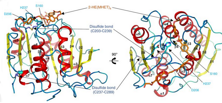 PETase active site.png