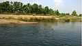 Poovankurichi Gadananathi River