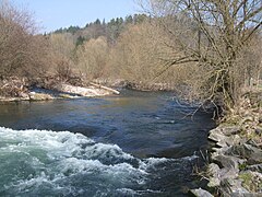 Renaturierung der Wiese bei Maulburg (7)