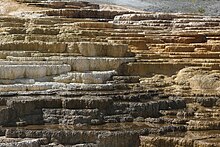 Photographie d'un ensemble de terrasses formant les Mammoth Hot Springs.