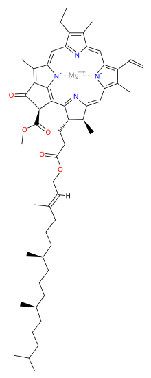 Structure of chlorophyll a