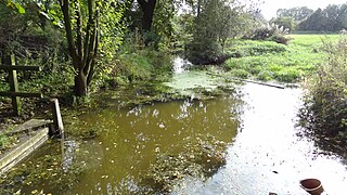 <span class="mw-page-title-main">Cranham Marsh</span>