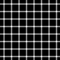 Grid illusion.svg