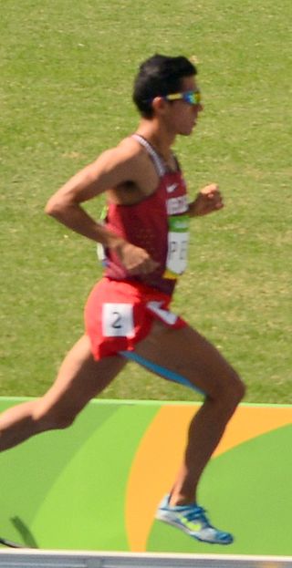 <span class="mw-page-title-main">José Peña (steeplechaser)</span> Venezuelan track and field athlete (born 1987)