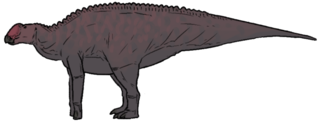 <i>Kelumapusaura</i> Extinct genus of dinosaur