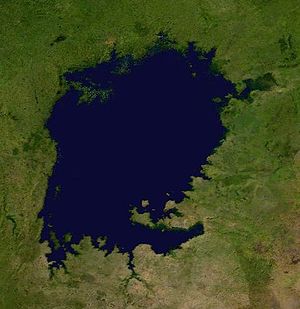 ヴィクトリア湖の衛星画像