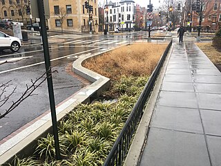 <span class="mw-page-title-main">Bioswale</span> Landscape elements designed to manage surface runoff water