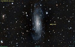 NGC 3137